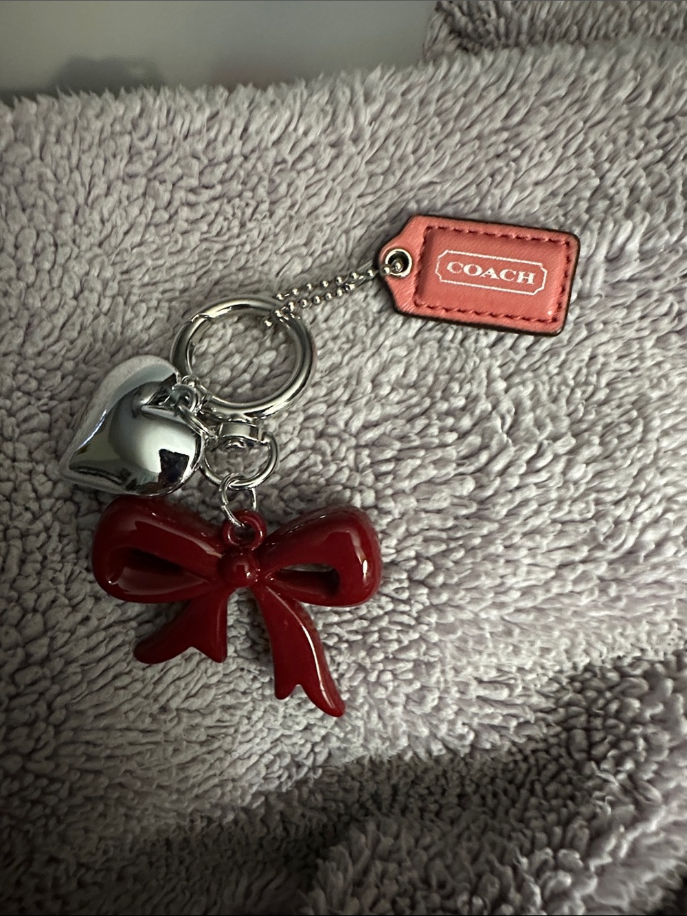 Coach Rose Keychain with silver details  and pink doggy  key chain holder